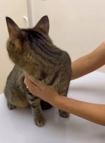 �y�L�̂��邭�炵�z���˂�|����L�����킢�����u�r�r�����̂���{�v�u��������10�񃊃s�[�g�����v