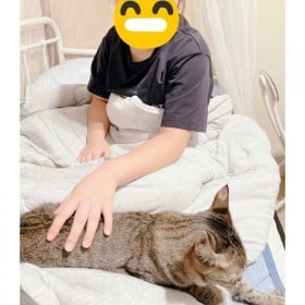 ������Ɂu���Ƀf�����I�v�ی�L