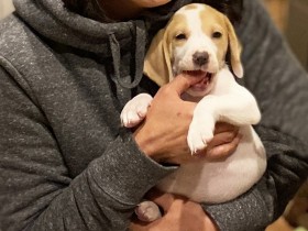 �����������g�Ê��݁h���������g�{�C���݁h�Ɂc�Ê��݂�U�������Ȃ��������ڂ����Ƃ́H