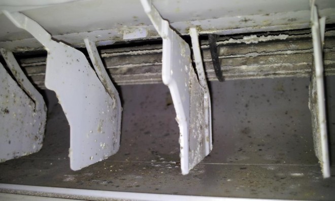 �J�r��z�R���A������ł���Ȃ��ƂɁi�ʐ^�񋟁F���������{�܁j