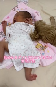 �������Ⴍ��Ԃ��������₷�}���v�[�ɂق�����