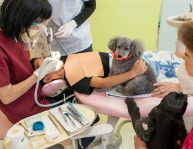 �u����҂Ɍ�?�v���Ì�����q�ǂ��Ɛe���甽���A�u�댯�͂Ȃ��H �q���ʂ́H�v���X�̖��N���A���F�߂�ꂽ20�N