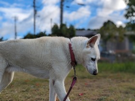 ����������āA��������c�����Ɂg�U�����ہh���ꂽ����NG�s���A�u�H�ו������邩�猾�����Ƃ𕷂��ƍl����̂���ώ���v