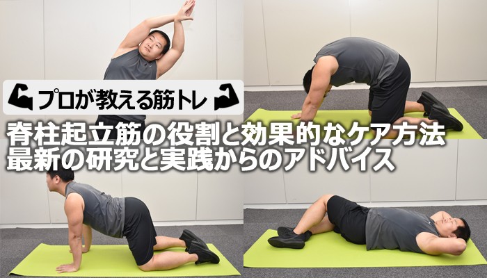 脊柱起立筋の役割と効果的なケア方法＜最新の研究・実践からのアドバイス＞