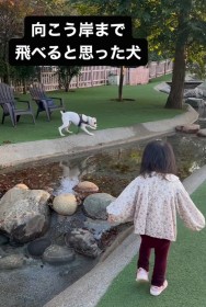 ���S�����H�@�{�N�T�[���́g�����h�ɖ�490���Đ�