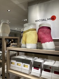 �ێ�I�Ȓj�������s��@���v�̕ω�