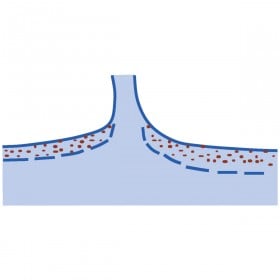 �n�}�L���N�C�Y�F���̒n�}�L���͉��ł��傤�H�yVol.24�z