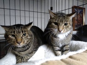 ���n��Ō�����������Ȃ��L