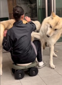 �������Ɛ肵�����c�Â���V�ȁg�T���h�Ɂu�����܂��Ă����v