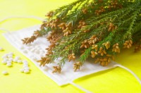 �y��t�ɕ����z�ԕ��ǂ̖�̃E�\�E�z���g�u�s�̖�͌����Ȃ��H�v����p����ݕ��A�ϐ��́H �Ǐ󂲂Ƃɉ��