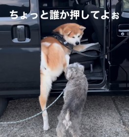 ������ƒN�������艟���āI�@�Ԃɏ�荞�߂Ȃ��H�c���ɔ���