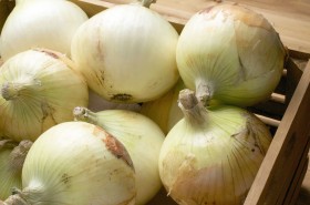 �V���܂˂��A�����ۑ���h����������@���Ǘ��h�{�m���`��