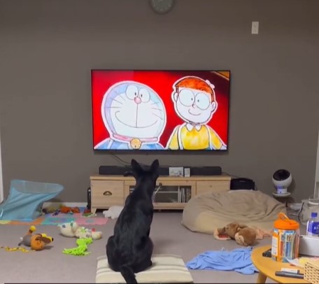 手がつけられない“ヤンチャ子犬”がピタリと静まった…憔悴しきった飼い主さんが崇めた救世主とは？