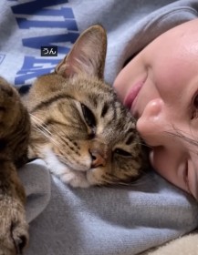 �Â���V�L�́u�s�����Ⴞ�߂��c�v��236���l�����A��D���ȃ}�}���̂����C��S�͋���