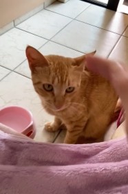 �J�h��ɗ�����ǔL�A�x�������]�H �����̂��̌�Ƃ�