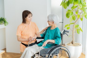 �u���E�сv�̃����b�g�E�f�����b�g����オ���