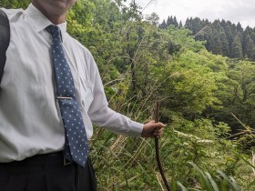 �o�����R�������܂悤�T�����[�}���u���̓��ō����Ă��ł����ˁc�v�A�V���[��������p�Ɂu�X�[�c�ł��̌i�Fw�v�u��΂����ĂȂ��đ��v