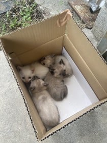 ���Ȃ��Ȃ�ǂ�����H�~�n���ɕ��u���ꂽ�q�L�Ɂu�����Ȃ񂾂Ǝv���Ă���̂��v