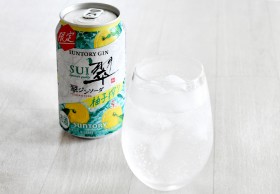 ���W���\�[�_�ʁq�M�q���r�i�T���g���[�j�@�y�V���i���r���[�z