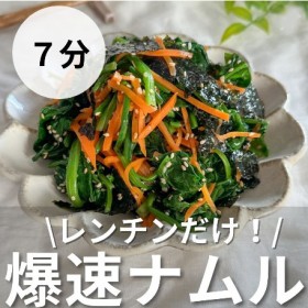 ��،����̏��w���j�������H����g�����i�����h��240���Đ�