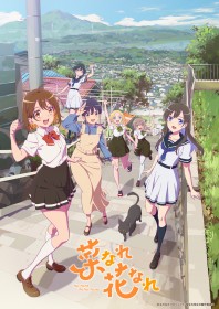 アニメ『菜なれ花なれ』声優・キャスト・登場人物・キャラクター・あらすじ一覧/なれなれ