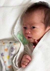 �y�L�b�Y�z�X���[���x�r�[���a�@�Ō�������ՂɃ}�}�́c