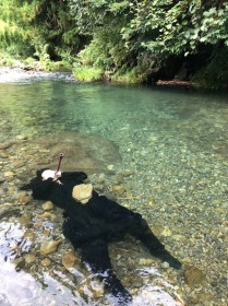 �u���ꂼ�N�[���W���p���I�v�E�҂́g���ق̏p�h��165���l�����A�u�ی����ł����́H�v�̋^��ɖ{����������