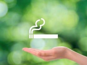 ���M���^�o�R�̃j�R�`���ʃ����L���O�b�ŐV�̖������Љ�