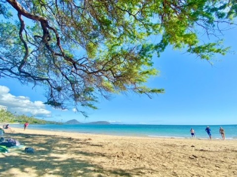 “全米一の物価高”ハワイに永住は夢物語？ 移住者に聞く「なんとかなる！」では生きていけない実情