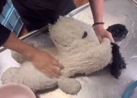 �g����̂��ɂ�����h���`���A�傫���ʂ�����݂���􂢂Ō��I�ω��u���ꂽ�X�k�[�s�[���t���t���I�v