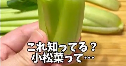 食べた後の小松菜、１ヵ月育ててみたら…驚きの成長に232万再生「えぇ～そうなの!?」「知りませんでした！」