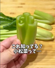 �H�ׂ���̏����؁A�P������ĂĂ݂���c�����̐�����232���Đ��u�����`�����Ȃ�!?�v