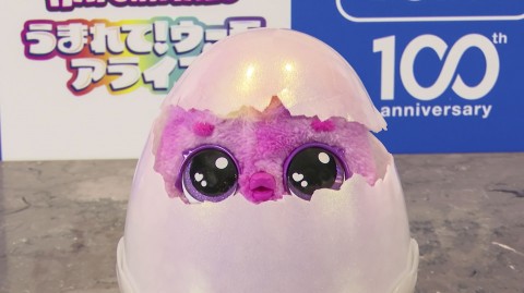 【うまれて！ウーモ アライブ】“完全シークレット”の1万円超「おもちゃ」なぜ売れる？ 子ども惹きつけた“玩具を愛でる”という原点回帰