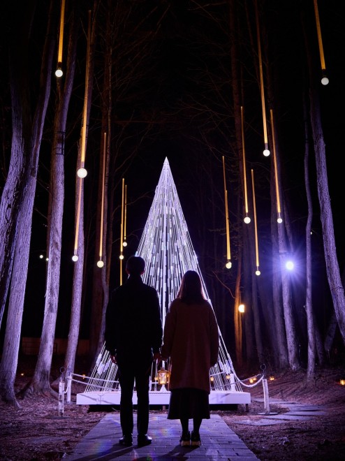 軽井沢高原教会 星降る森のクリスマス』冬の星空の下、大人気イベント