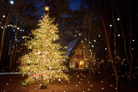 『軽井沢高原教会 星降る森のクリスマス』冬の星空の下、大人気イベントで幻想的な夜に浸る！「プリズムツリー」も新登場
