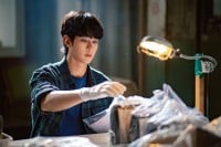 �s�����E�E�\�N�����l�ɁA�L���E�X�q�������R�s�[���i�E�̒鉤�Ɂc!?�؃h���I�^���u�x�Ȃ��őI��2025�N���ڂ̊؍��h���}7�I�y�n���O�NTIMES Vol.186�z