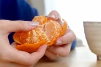 ���k�ނƐH���@�ۃ_���H�@�ӊO�ƒm��Ȃ����ׂ̎��ɍT�������H�ו��́H�@�y�Ǘ��h�{�m����z