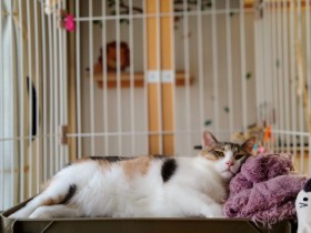 ���������ɕK�{�̔L�P�[�W�I �A�C���X�I�[���}�ȂǁA�������ŋ@�\���̍����ŐV�L���b�g�P�[�W5�I