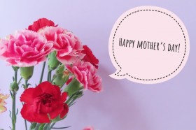 �y2025�N5��11���͕�̓��z���Ԃ�������Ȃ��I�y�V�Ŕ����錵�I10�M�t�g�y�ґ�X�C�[�c�E���e�O�b�Y�Ȃǁz