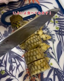 nA悢HIʐ^@bloomingscape