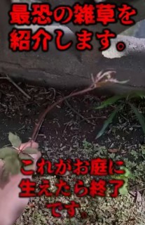 z[ɎdグJl̓B摜@oniwasoji