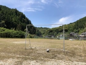 校庭や駐車場に落ちている“謎ワカメ”→地球を救う生物？　驚きの生態に129万再生「生き物だったのか…」