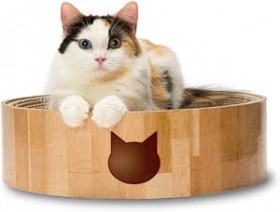 �L�O�b�Y��Amazon��30���I�t�A�����ւ��^�C�~���O�͍��c�H�@��Ԃ���ς�_�l�܂Łc������ڐ��őI�Ԃ������߂T�I