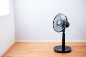 �f�U�C���E�É��E�����^�сc�~�J�`�Ă̕K���i�u��@�v��������5�I�b�_�C�\���A�A�C���X�I�[���}�Ȃ�