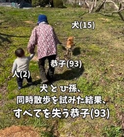 “リードも奪われ、すべてを失ってしまった”93歳曾祖母、ひ孫＆柴犬との散歩姿に216万再生「全員マイペースでかわいい」「新喜劇ですね」