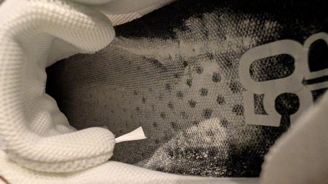 ���L�p�E�_�[�w�O�����Y�����f�B ���A�r�r����� �������^�C�v�x���g���Ă݂��I