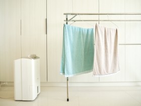 ���C�����������L����|�u�R���v���b�T�[���v�u�n�C�u���b�h���v�̂������ߏ�����5�I