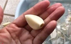 スーパーで買ったニンニクを植えて8ヵ月後…想定外の部分に“赤ちゃんニンニク”出現