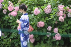 ���N�͂ǂꒅ��H���킢���E��l���ۂ����������f�B�[�X���߂�������5�I�y2025�āz�yAmazon�Z�[���J�Ò��z