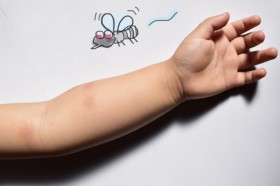 �u���悯���X�v���[��������Ȃ��v�u�g�����g���悯�h���āH�v�Ԃ�����q�ǂ��ɂ������߁A�₳�����P�A���钎�����O�b�Y7�I�yAmazon�Z�[���J�Ò��z